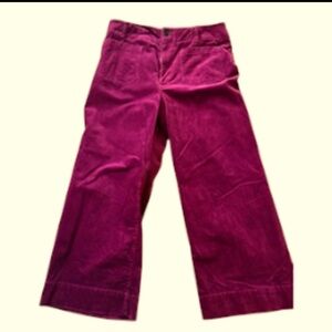 Anthropologie Maeve Colette rasberry pants size 32